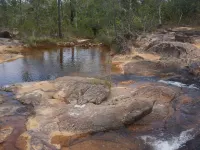 Pine Ridge Lodge Hotels in San Ignacio