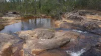 Pine Ridge Lodge