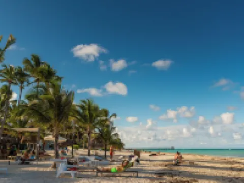 เดอะ เอ็มที โรงแรม โรงแรมในบาวาโร