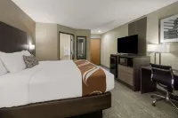 Quality Inn & Suites Roanoke - Fort Worth North Hotels in Northlake