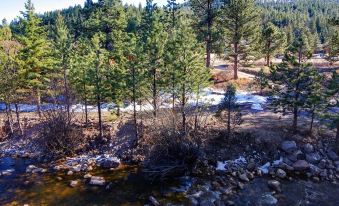 Fawn Valley Inn- 210 Condo