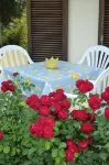 Garni Rebhof Hotels in Gargazon