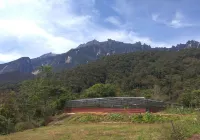 Mesilau Mountain Retreats Hôtels à : Ranau