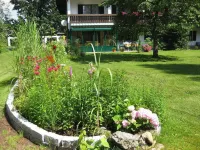 Pension & Fewos Fuchs Hotels in Hohenau