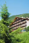 Le Castillan Hotel a Huez