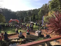 Forest Lodge Resort Hotels in Pemberton