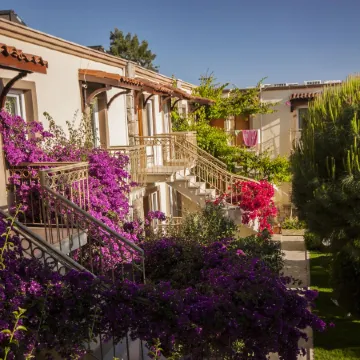 Moonshine Hotel & Suites