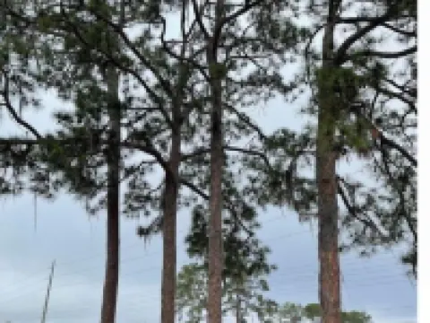 Modern Malibu @ Sebring Hotels in Sebring