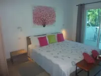 Lovely Villa Rose des cayes in Saint Barthélémy with parking and private pool 古斯塔夫三世機場附近的飯店