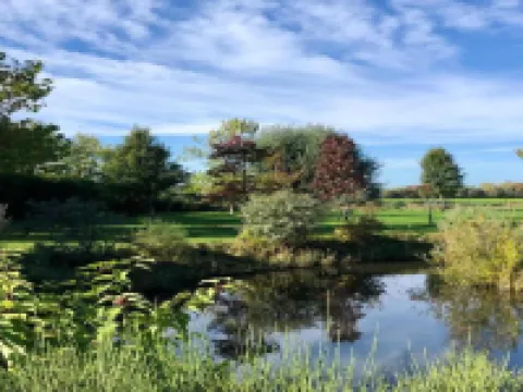 Apartment in Vrouwenpolder Near Beach