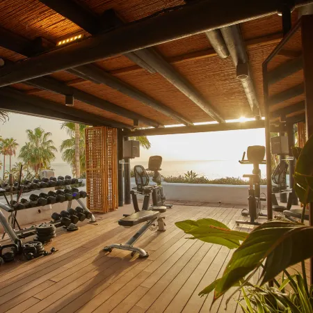 Hyatt Ziva Jardín Tropical Tenerife