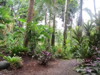 Caribbean Alchemy  Cocles Beach Hotels in 