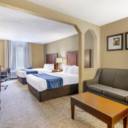 Comfort Inn & Suites Christiansburg I-81
