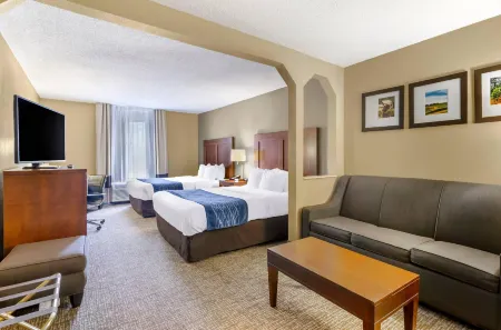 Comfort Inn & Suites Christiansburg I-81 Отели в г. Парротт