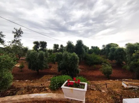 Trullo in Valle D'Itria Отели в г. Челье-Мессапика