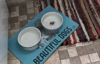 Cozy loft on a farm in Conservatória - we accept pets!