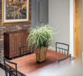 No Pets 3 Bed 2 Bath with 2 Car Garage Fully Furnished Everything New