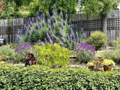 Relax at The Deep Blue Nest –Family Friendly Getaway by the Ocean & Private Yard