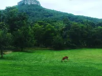 Isolate Stay at Pilot Mountain