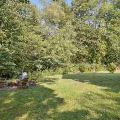 River View Dog Friendly Game Room w Hot Tub Hotel Exterior