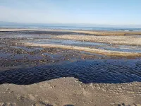 6 person holiday home in Brovst