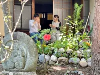 Guesthouse Hayashiya Hotels in 