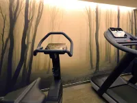 Balthazar Hôtel & Spa Rennes - MGallery - Fitnessstudio