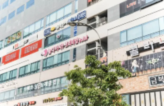 Paju Yanolda Gaja