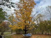 Country Cottage with beautiful views and easy access to Catskills activities. Hotels in Saugerties