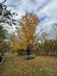 Country Cottage with beautiful views and easy access to Catskills activities.