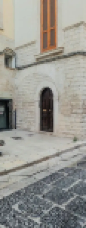 디모라 데이 템플라리