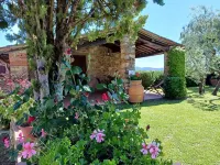 Farmhouse in Tuscany with Olive Grove Views - Wifi