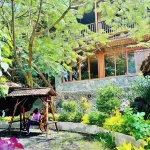 Liesak Resort Hotels in 