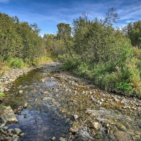 Homer Hideaway on Fritz Creekside - Pets Welcome