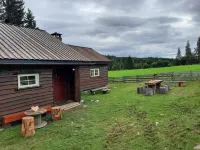 Cottage in the forest - 2-Star
