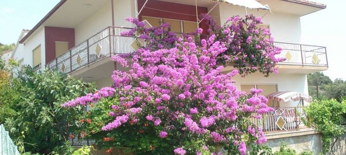 Romantic Apartment with Sea View Vinie, Dalmatia Hotele w: Vinisce