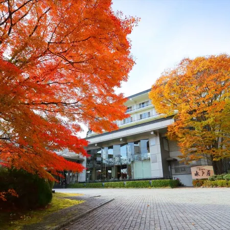 Hotel New Mitoya