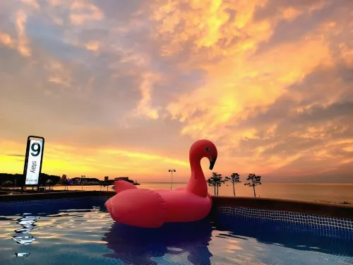 Yangyang Nine Stay Pension - View biển