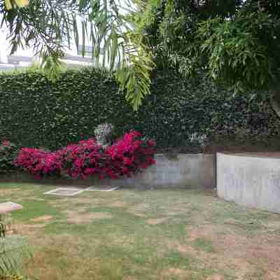 1-Bed Smart Access Condo Near Bob Marley Museum Hotel Exterior