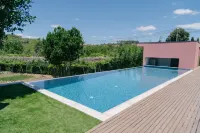 Quinta Vale de Sousa - Douro Valley - Pools