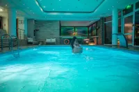 Hotel Carpathia - piscina