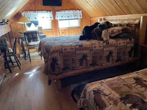 Black Bear Cozy Chalet, Lakeview, kayaks available for use - Alppimaja