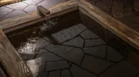 Grand Mercure Nara Kashihara - avec sources thermales