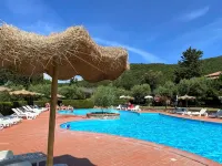 Lince - Pools