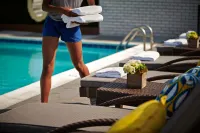 The Ven at Embassy Row, Washington, D.C., a Tribute Portfolio Hotel - Rooftop Pools