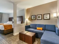 Comfort Suites North Tupelo Hotels in Lee County
