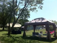 Relais de l'Aérodrome Hotels in Prangins