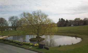 a large tree stands in a pond with a house in the background , surrounded by green grass and trees at The White Horse