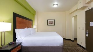 holiday-inn-express-and-suites-atlanta-downtown