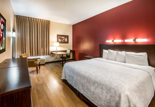 레드 루프 인 플러스+